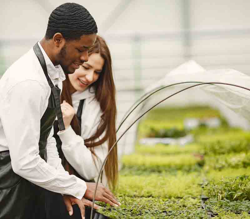 agro-allied-u